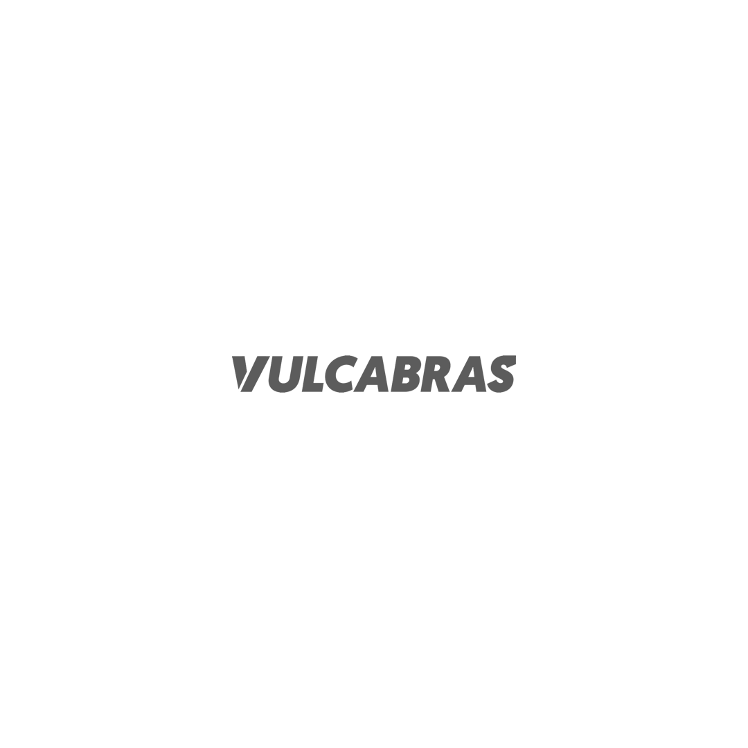 Logo Vulcabras